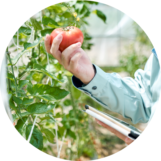 「モット」地域のために